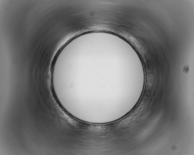 X0000099991286200806131426