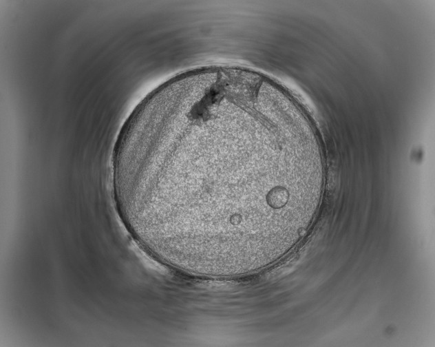 X0000099991287200806131426