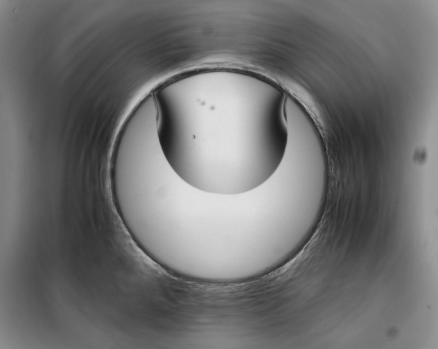 X0000099991288200806131426