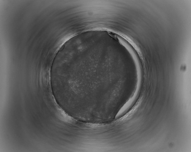 X0000099991289200806131426