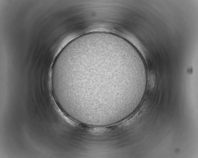 X0000099991290200806131426