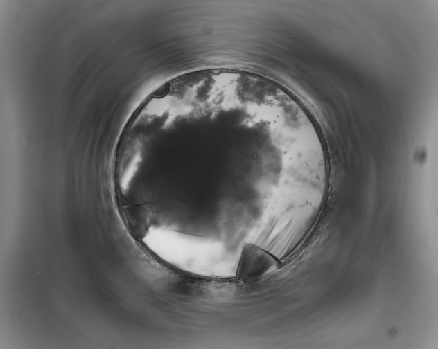 X0000099991291200806131426