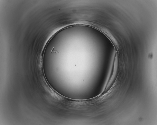 X0000099991292200806131426