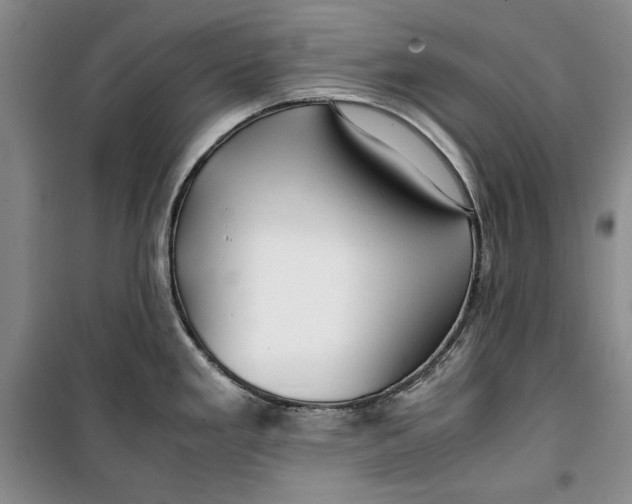 X0000099991293200806131426