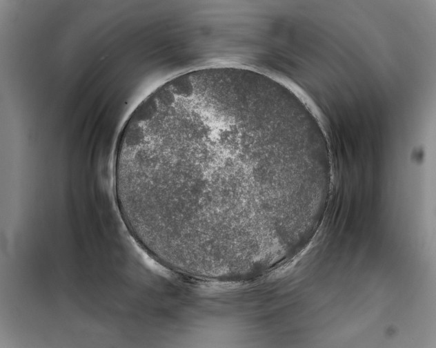 X0000099991294200806131426