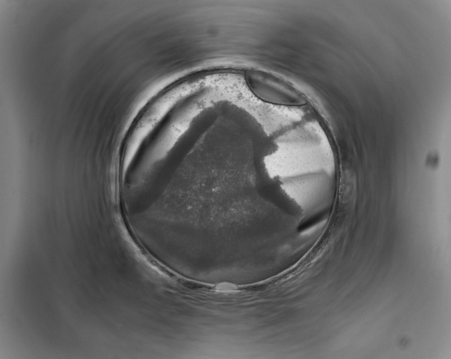 X0000099991295200806131426