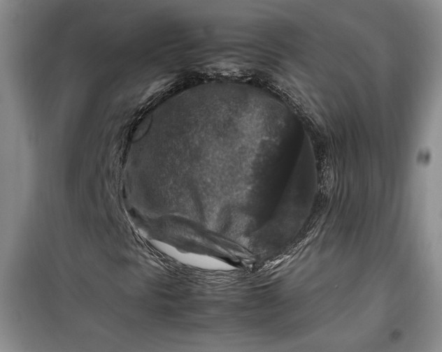 X0000099991297200806131425