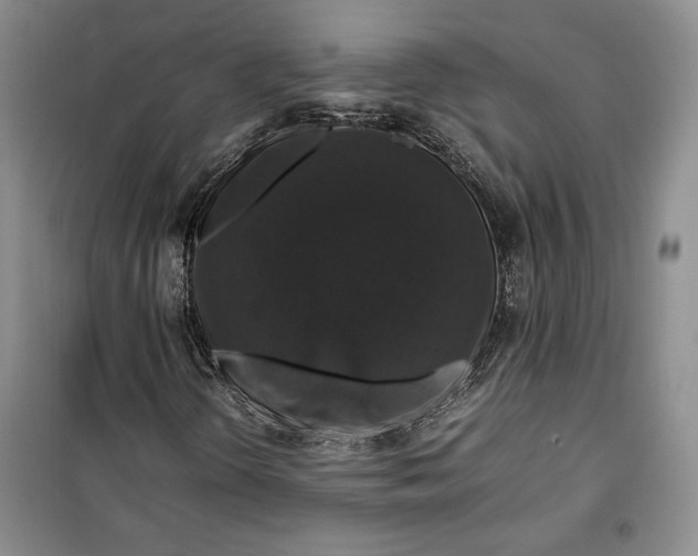 X0000099991298200806131425