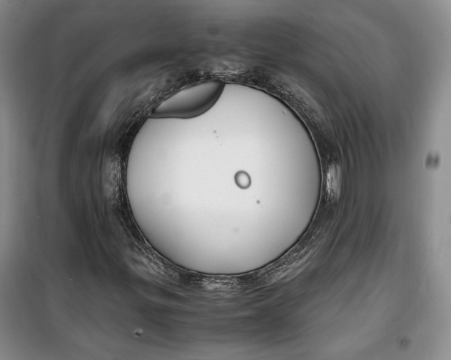 X0000099991299200806131425