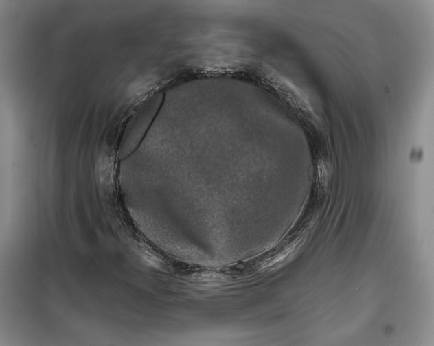 X0000099991300200806131425