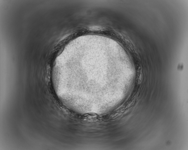 X0000099991301200806131425