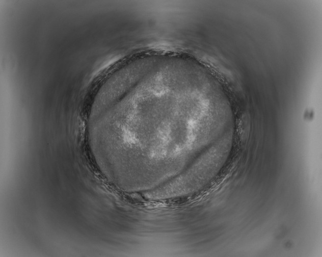 X0000099991302200806131425