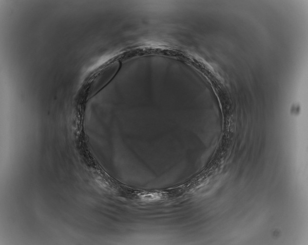 X0000099991303200806131425