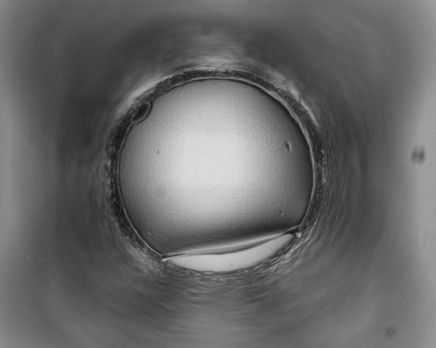 X0000099991304200806131425