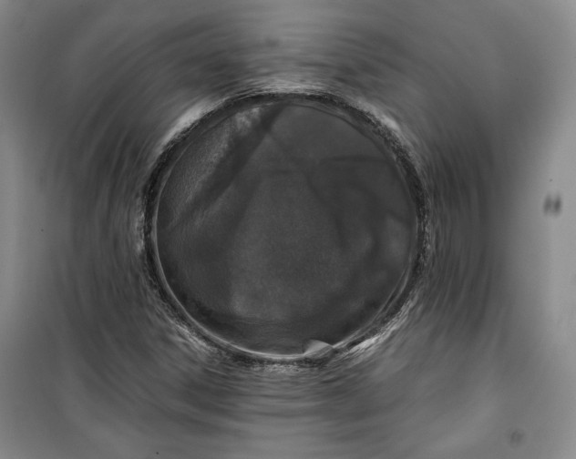 X0000099991306200806131425