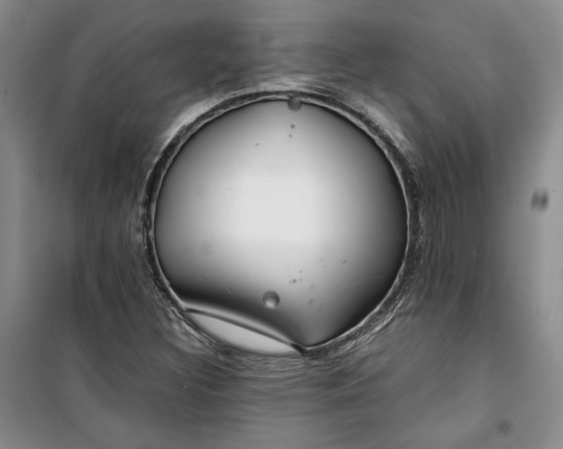 X0000099991308200806131425