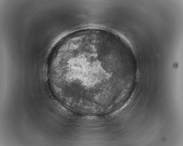 X0000099991310200806131425