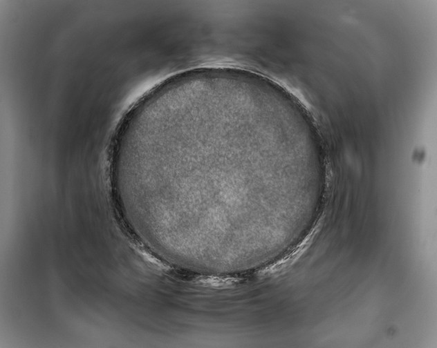 X0000099991311200806131425