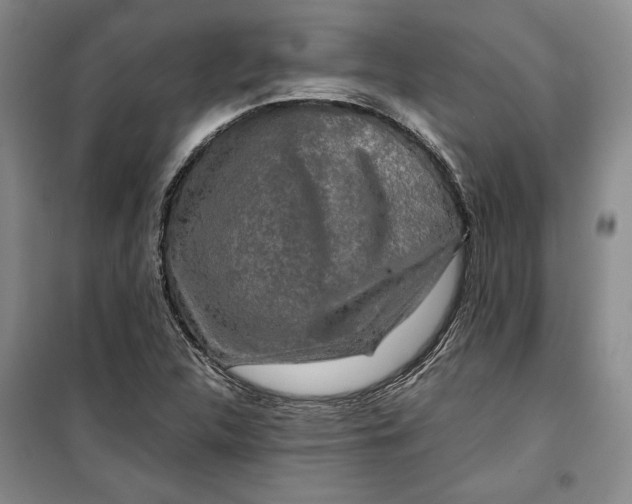 X0000099991312200806131426