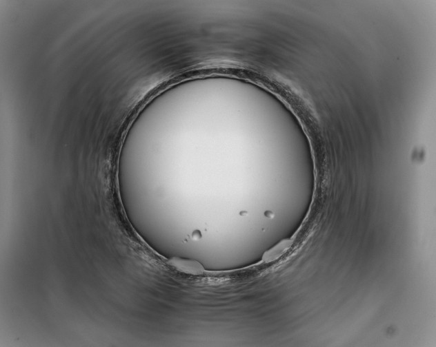 X0000099991313200806131426