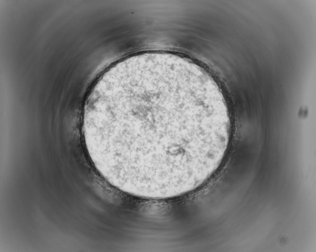 X0000099991314200806131426