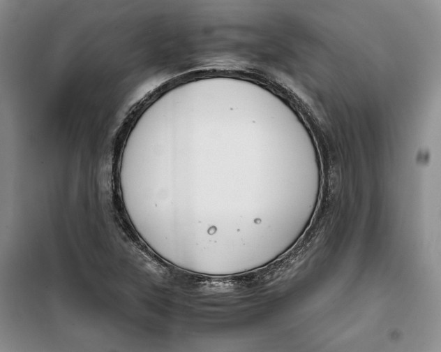 X0000099991315200806131426