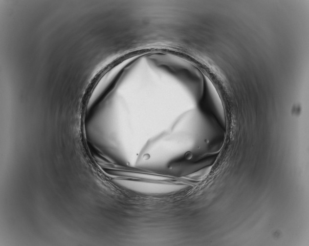 X0000099991316200806131426