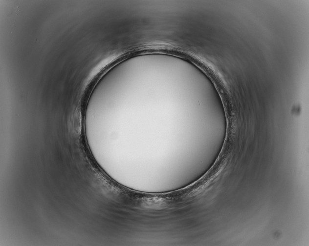 X0000099991317200806131426