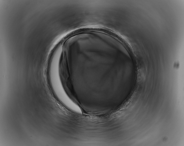 X0000099991319200806131426