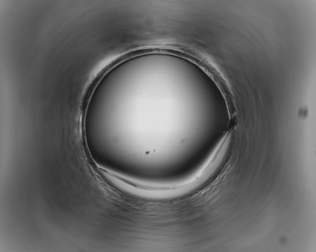 X0000099991320200806131426