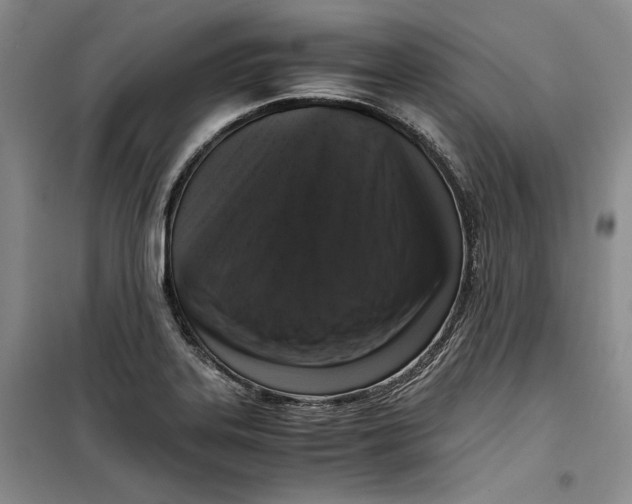 X0000099991323200806131426