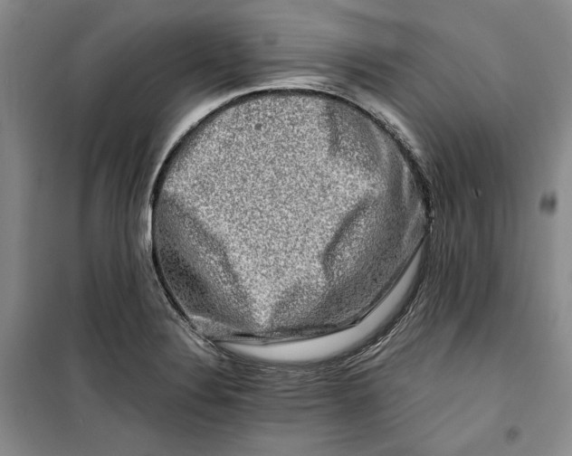 X0000099991324200806131426