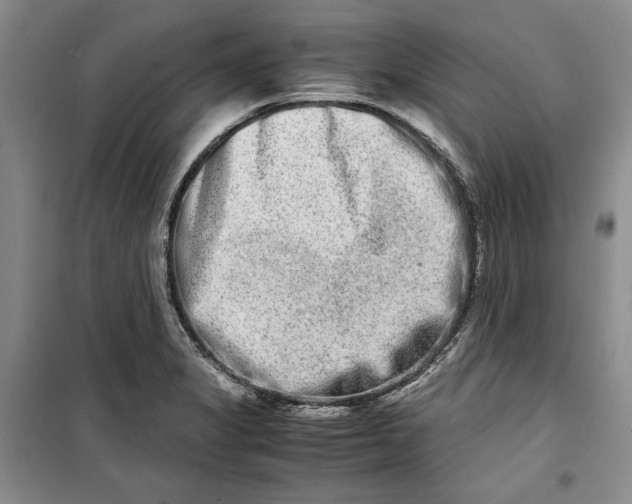 X0000099991325200806131426