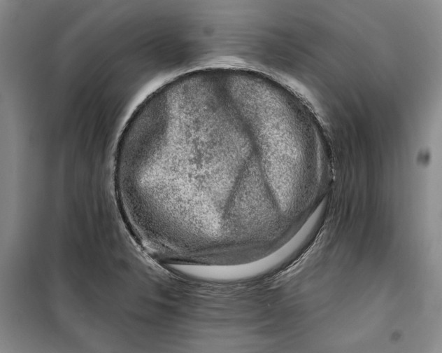 X0000099991326200806131426