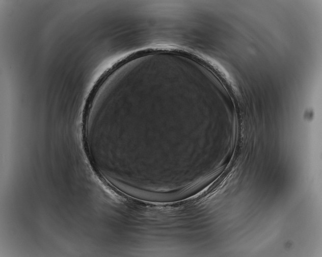 X0000099991327200806131426