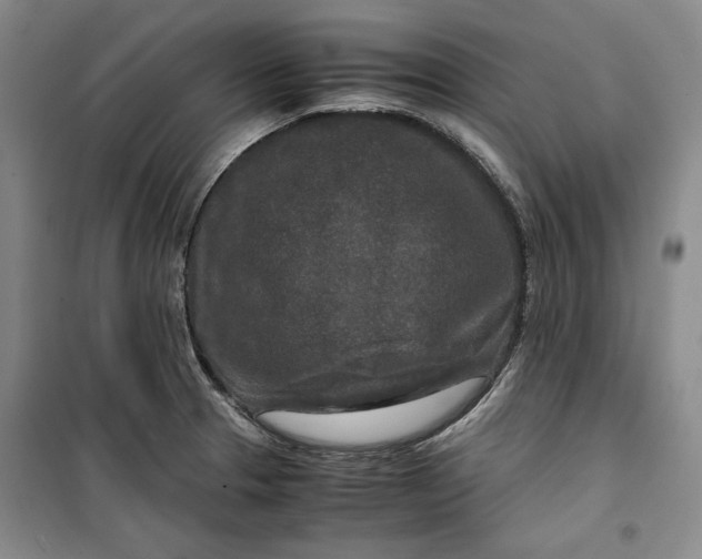 X0000099991329200806131426