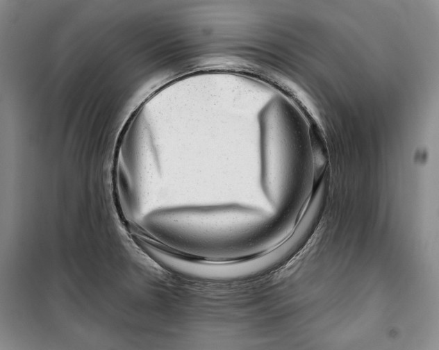 X0000099991330200806131426