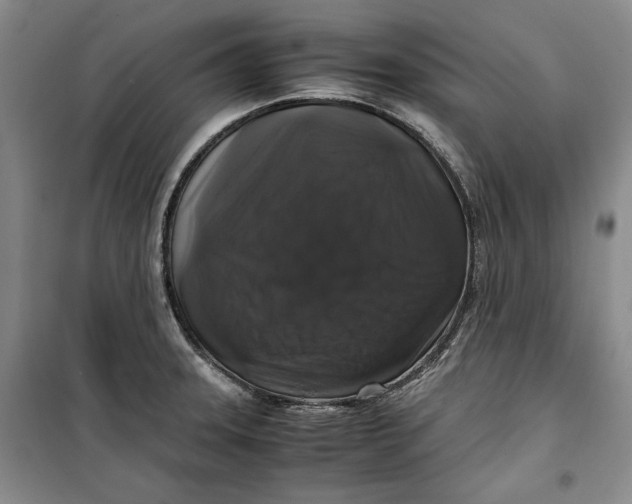 X0000099991331200806131426