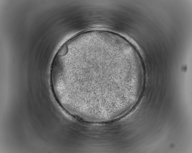 X0000099991333200806131426