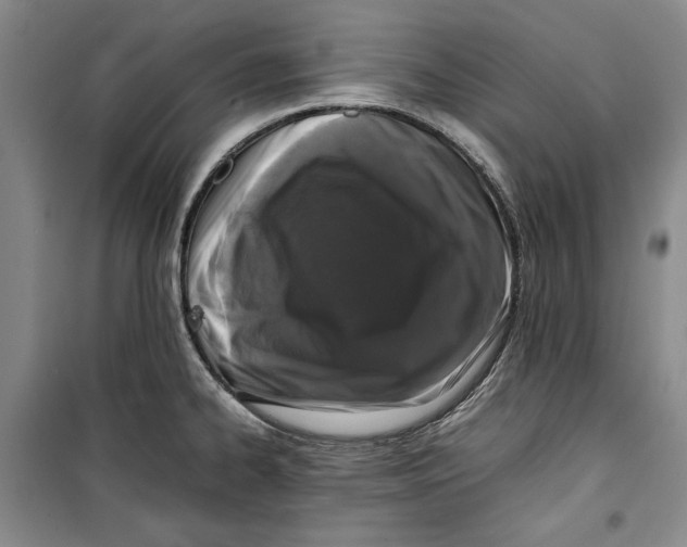 X0000099991334200806131426