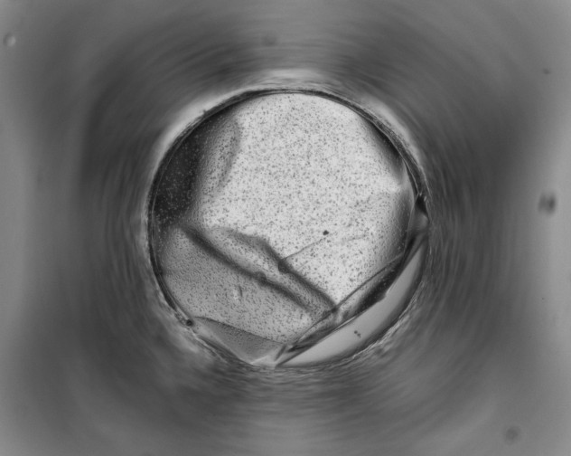 X0000099991336200806131426