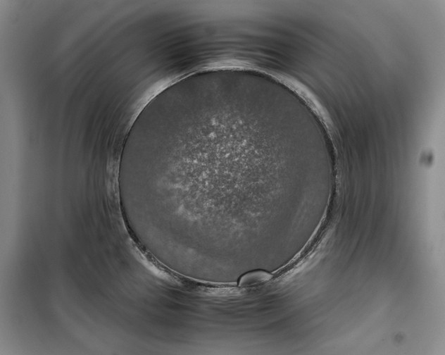 X0000099991337200806131426