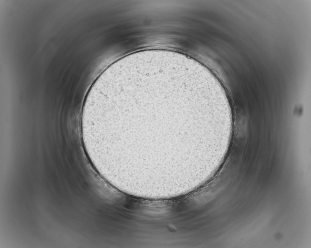 X0000099991338200806131426