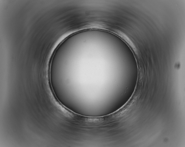 X0000099991339200806131426