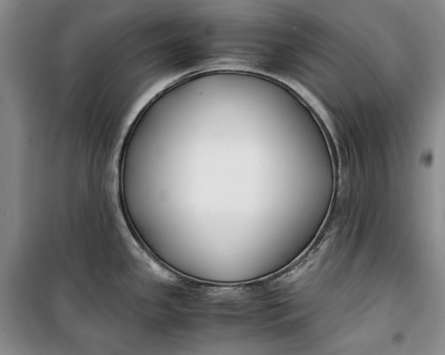 X0000099991341200806131426