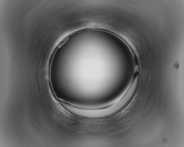 X0000099991342200806131426