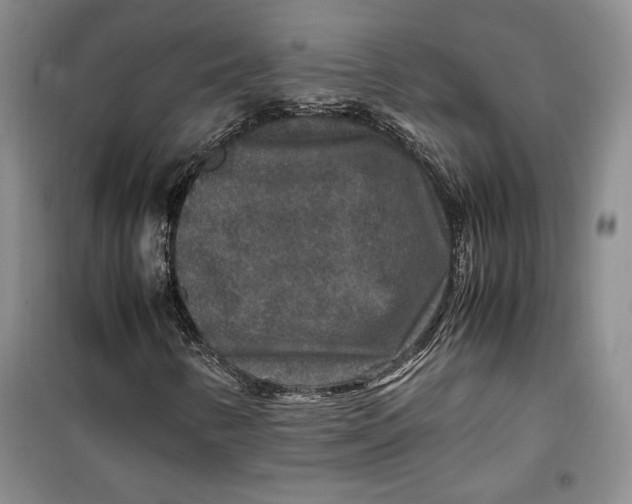 X0000099991346200806131425