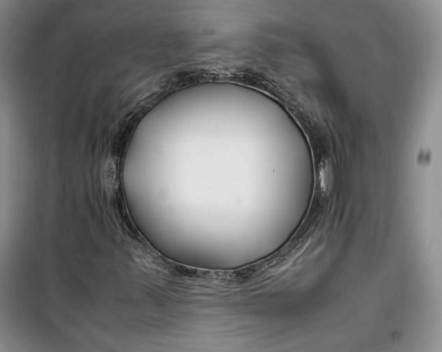 X0000099991347200806131425