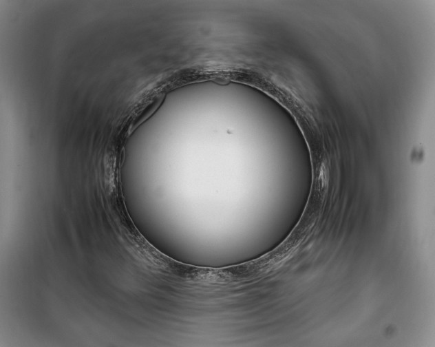 X0000099991348200806131425