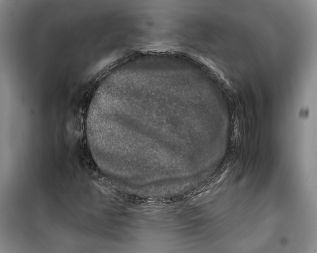 X0000099991350200806131425